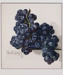 Raisins